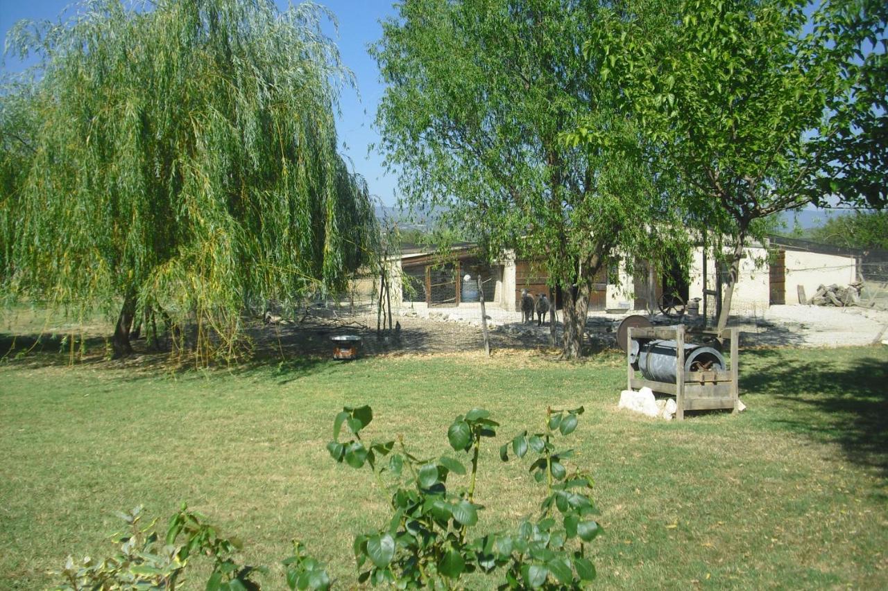 Le Luberon Lou Mas Li Pitchoun Hébergement de vacances Gordes