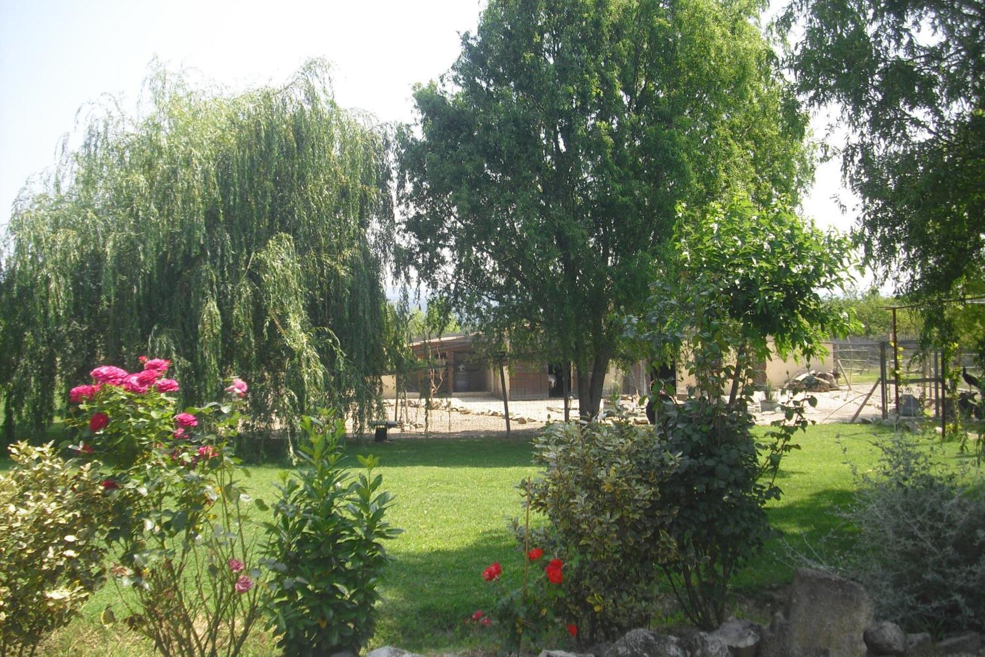 Holiday home Lou Mas Li Pitchoun 